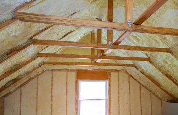 Best Types of Insulation in Ayden, NC