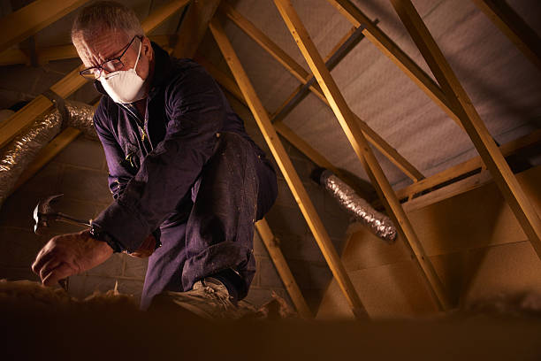 Best Commercial Insulation in Ayden, NC